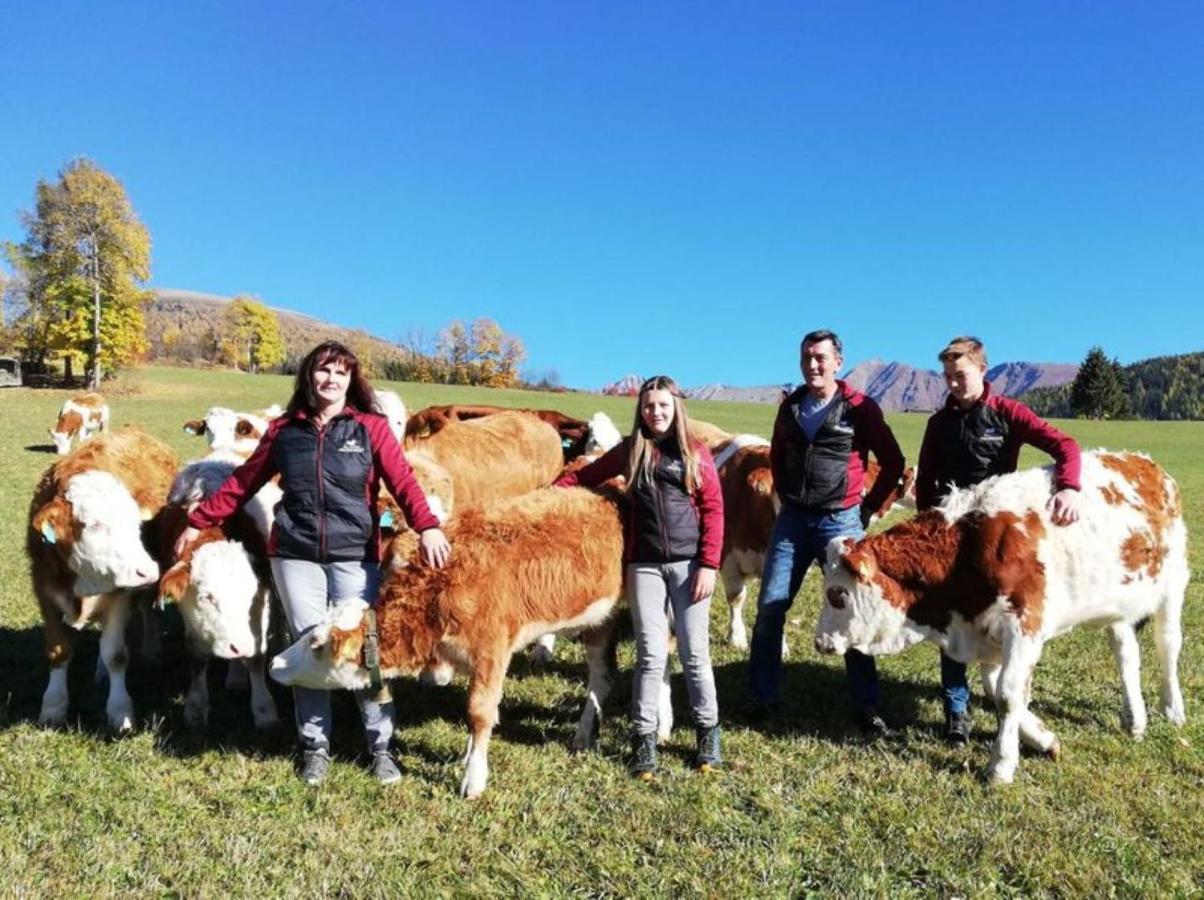 Praschhof Villa Mariapfarr Dış mekan fotoğraf